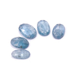Icy Blue Kyanite Rosecut Parcel - N