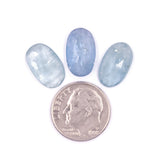 Icy Blue Kyanite Rosecut Parcel - D