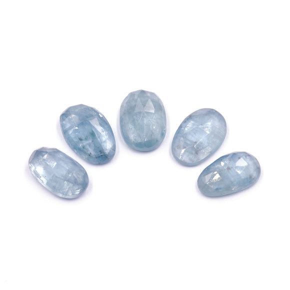 Icy Blue Kyanite Rosecut Parcel - F