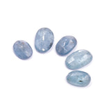 Icy Blue Kyanite Rosecut Parcel - H