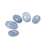 Icy Blue Kyanite Rosecut Parcel - H