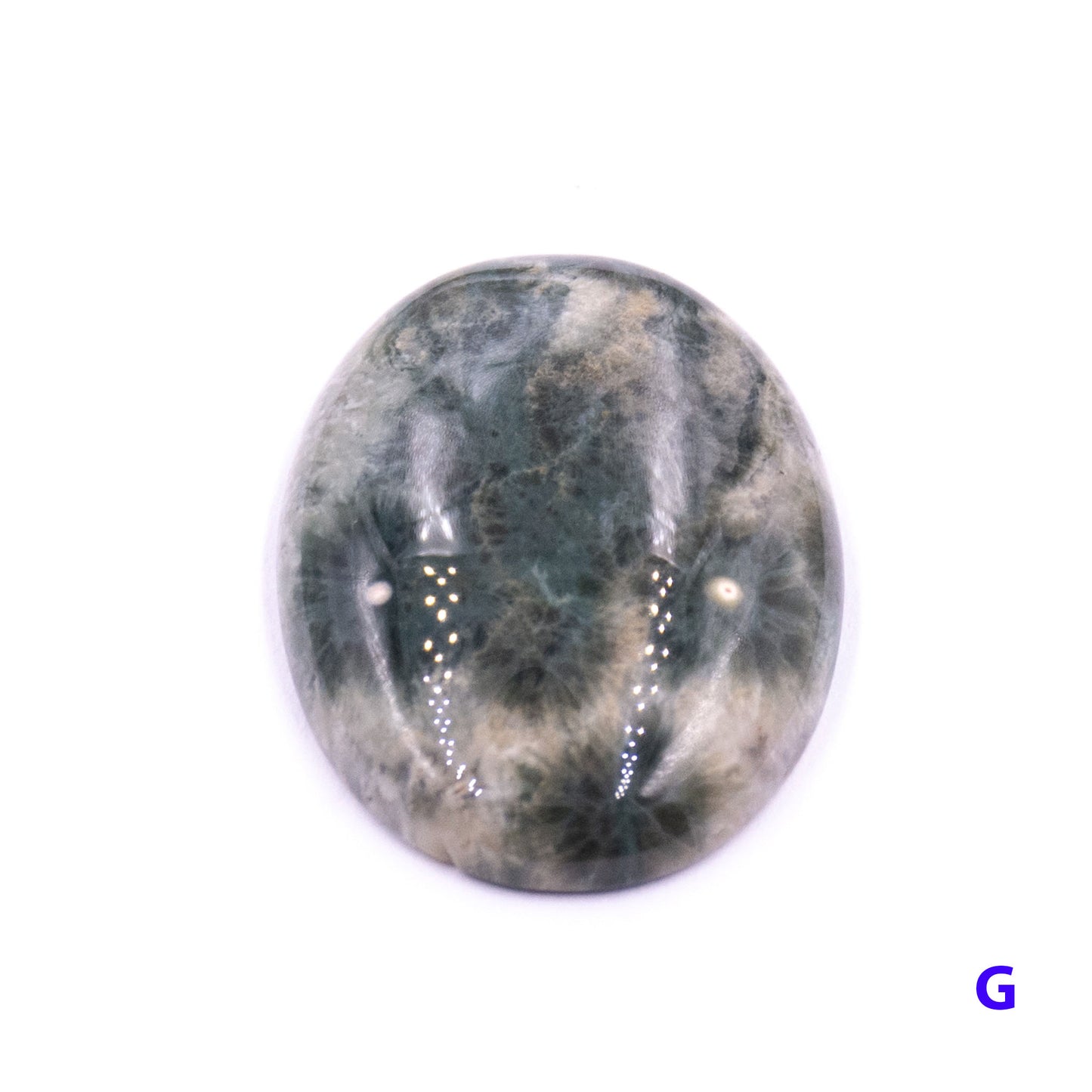 Ocean Jasper Cabochon