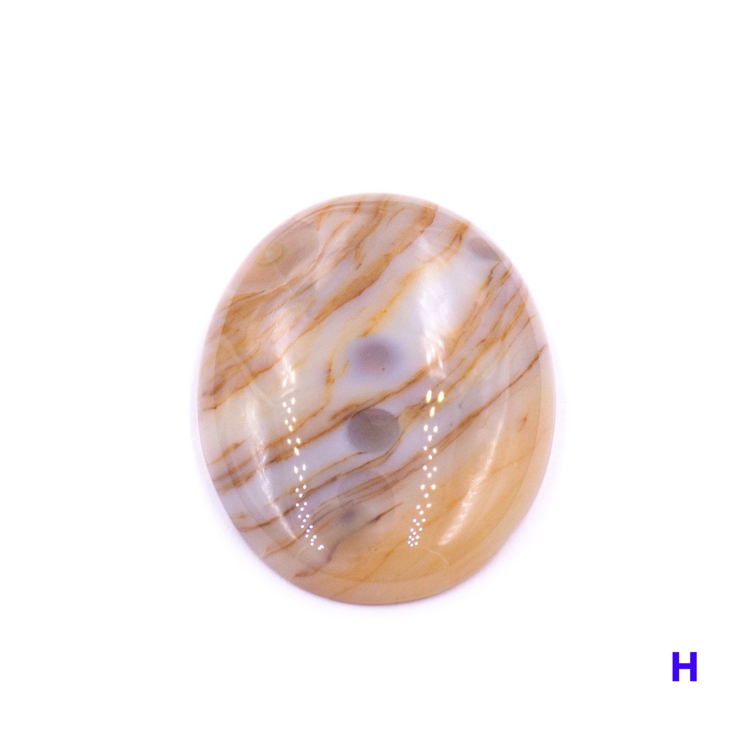 Ocean Jasper Cabochon