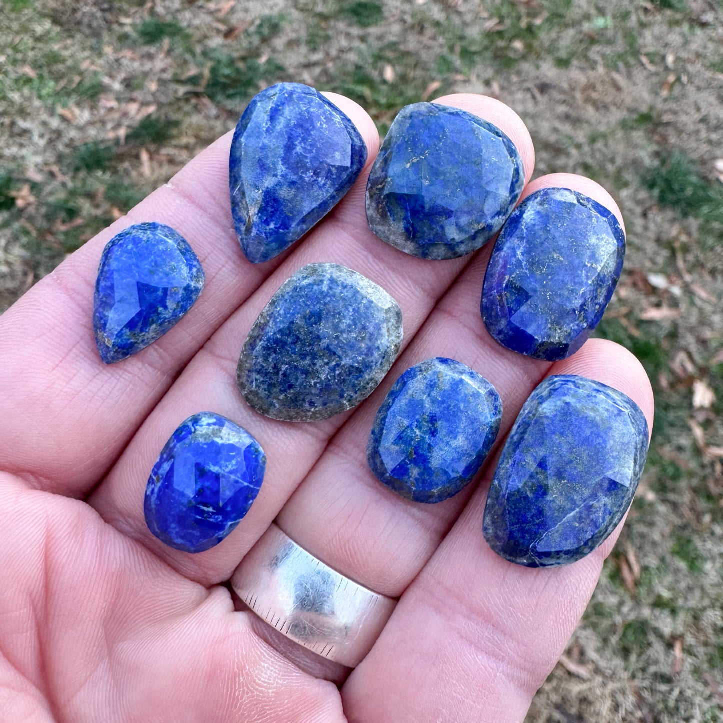 Lapis Lazuli Rosecuts - Parcel B