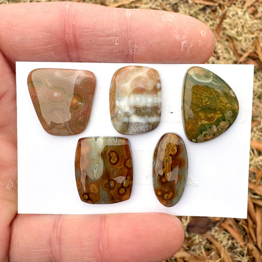 Ocean Jasper Cabochon Parcels