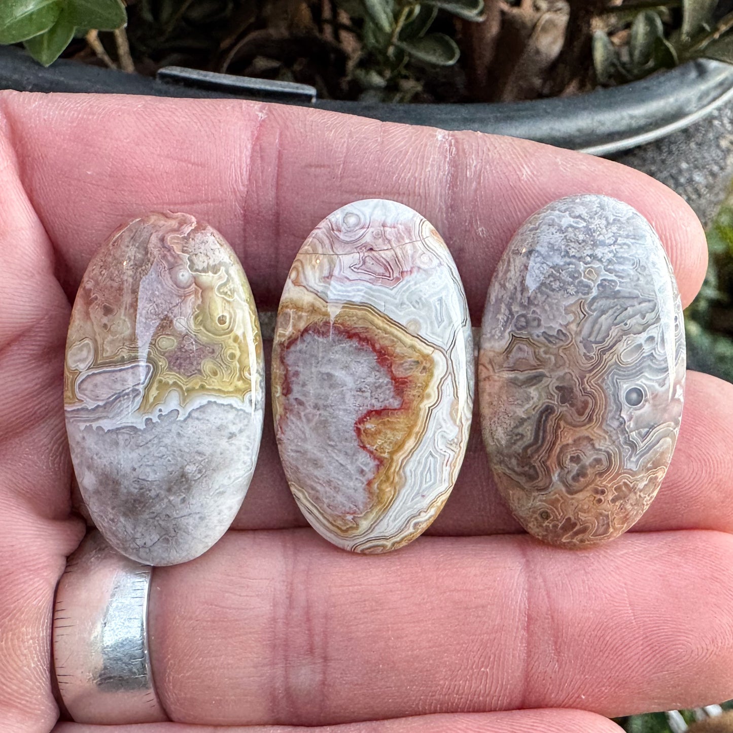 Crazy Lace Agate