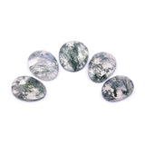 Rosecut Moss Agate Parcel - AA