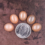 Moonstone Cabochon Peach Parcel - 4 O